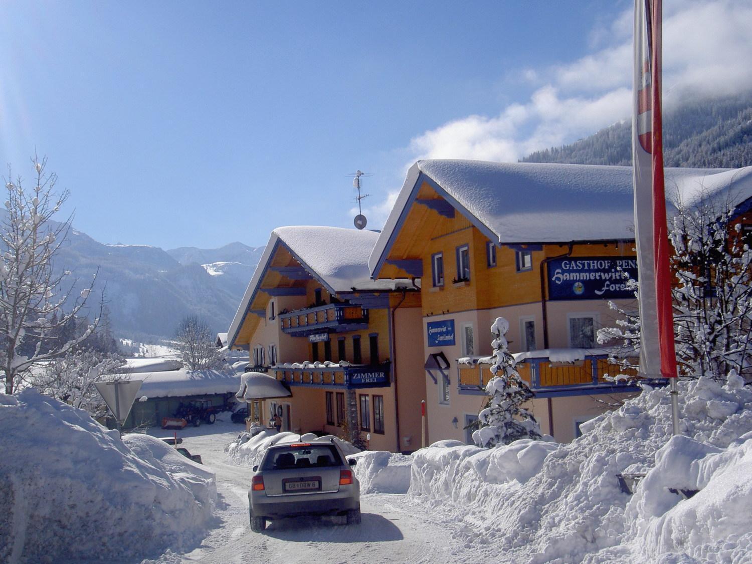 Hotel Hammerwirt - Forellenhof Untertauern Εξωτερικό φωτογραφία