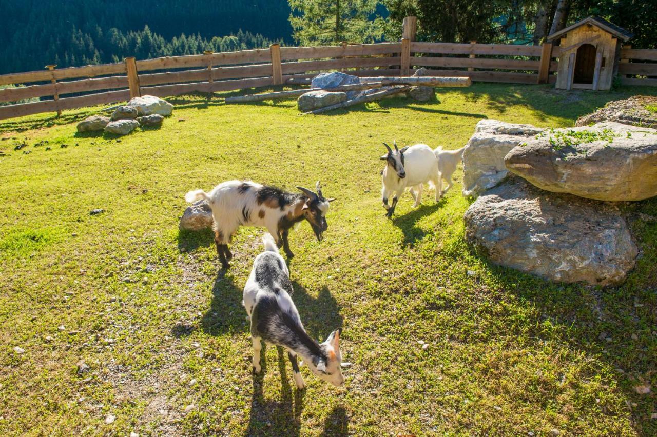 Hotel Hammerwirt - Forellenhof Untertauern Εξωτερικό φωτογραφία
